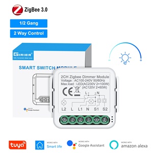 TUYA ZigBee調光器モジュール音声制御ミニ壁スイッチ調光器スマートスイッチ - Product Image 2