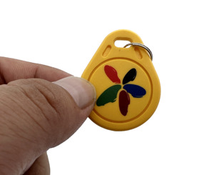 Program URL HF 13.56MHZ RFID Key Tags NFC Keychains QR <strong>Code</strong> Customized logo Access Control Rfid Key Fob T5577 Copyable Keyfobs - Product Image 1