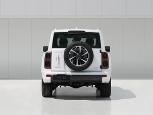 2025 Light H9 lüks SUV hafif iç Premium deri ve ısıtmalı koltuklar benzinli elektrikli yakıt seçenekleri ile yeni lüks SUV - Product Image 3