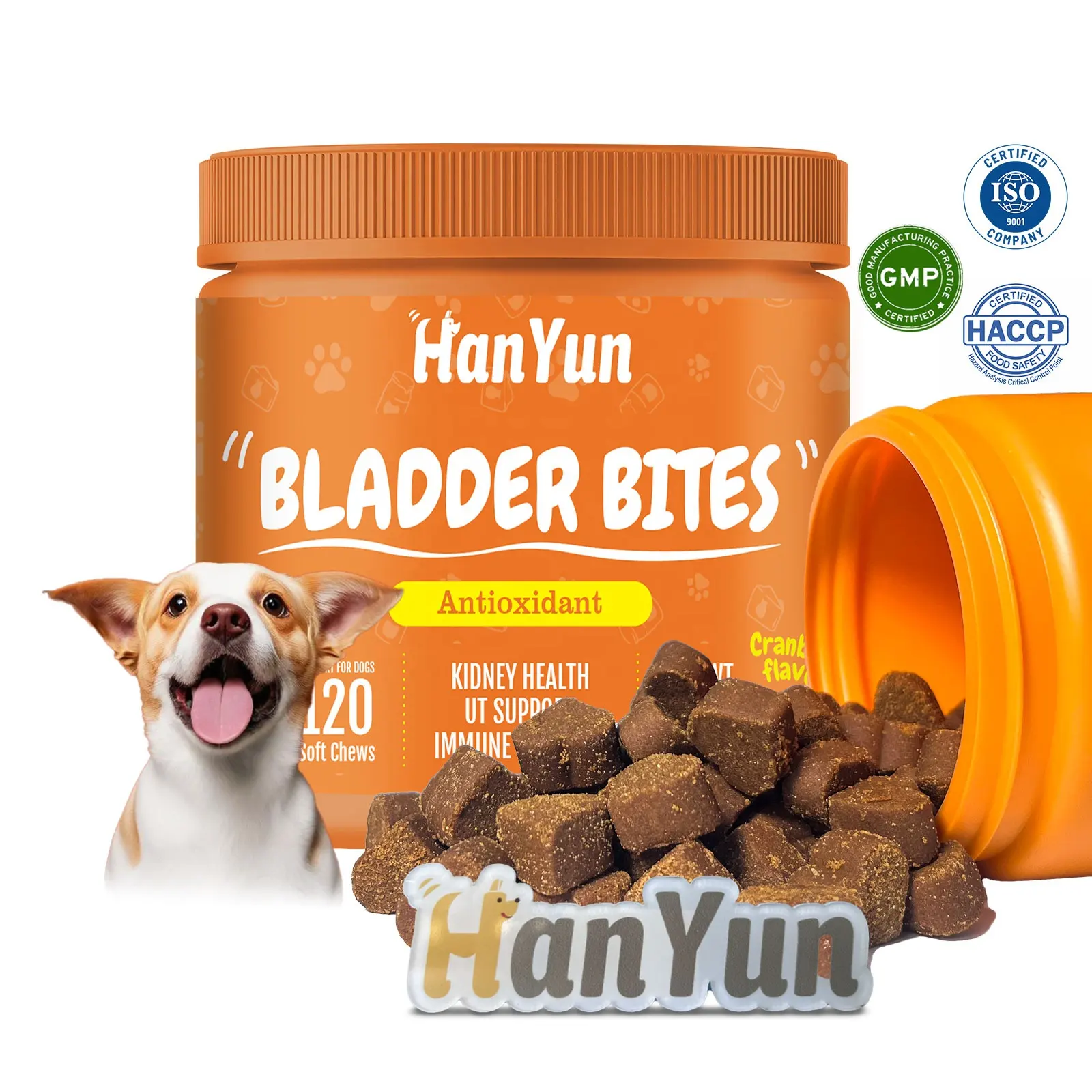 Hanyun Venta al por mayor OEM/ODM Vejiga de arándano Cuidado urinario y renal para mascotas Suplemento alimenticio para mascotas Salud intestinal Masticables suaves