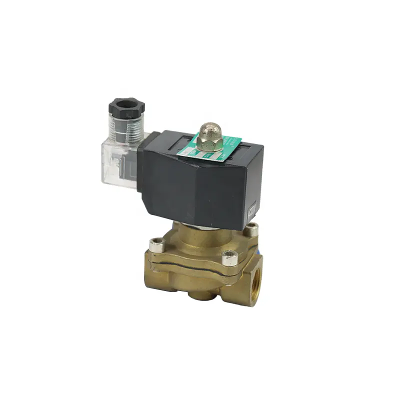 Válvula solenoide de latón de bobina de cobre de diafragma proporcional de vapor de aire eléctrico hidráulico DKV 110V para válvulas de control de solenoide de agua