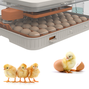 WONEGG 56H AC DC Incubadora de huevos de pollo fertilizado tres en uno Pantalla de control de humedad de temperatura automática Función de iluminación LED - Product Image 5