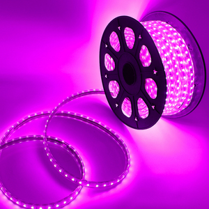 SMD5050光源柔性高压恒流RGB LED灯带防水220V 50M 100M卷 - Product Image 5