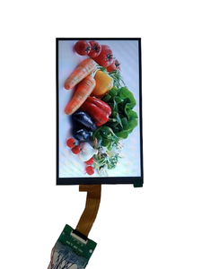 Modulo LCD da 6.95 pollici personalizzato di alta qualità con interfaccia tipo MIPI - Product Image 2