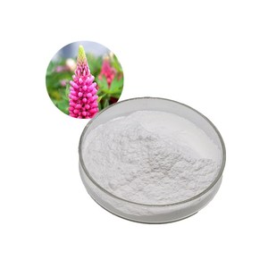 สารสกัดจากลูปินัสอัลบัส8% 98% CAS 545-47-1ผงลูปินัสบริสุทธิ์สารสกัดจากลูปินัสโพลิฟิลลัส - Product Image 1