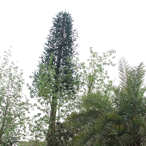 Ngụy trang Bionic cây thép monopole Antenna tháp 4G 5G Wifi tín hiệu thông tin liên lạc tháp Viễn Thông phụ kiện - Product Image 5