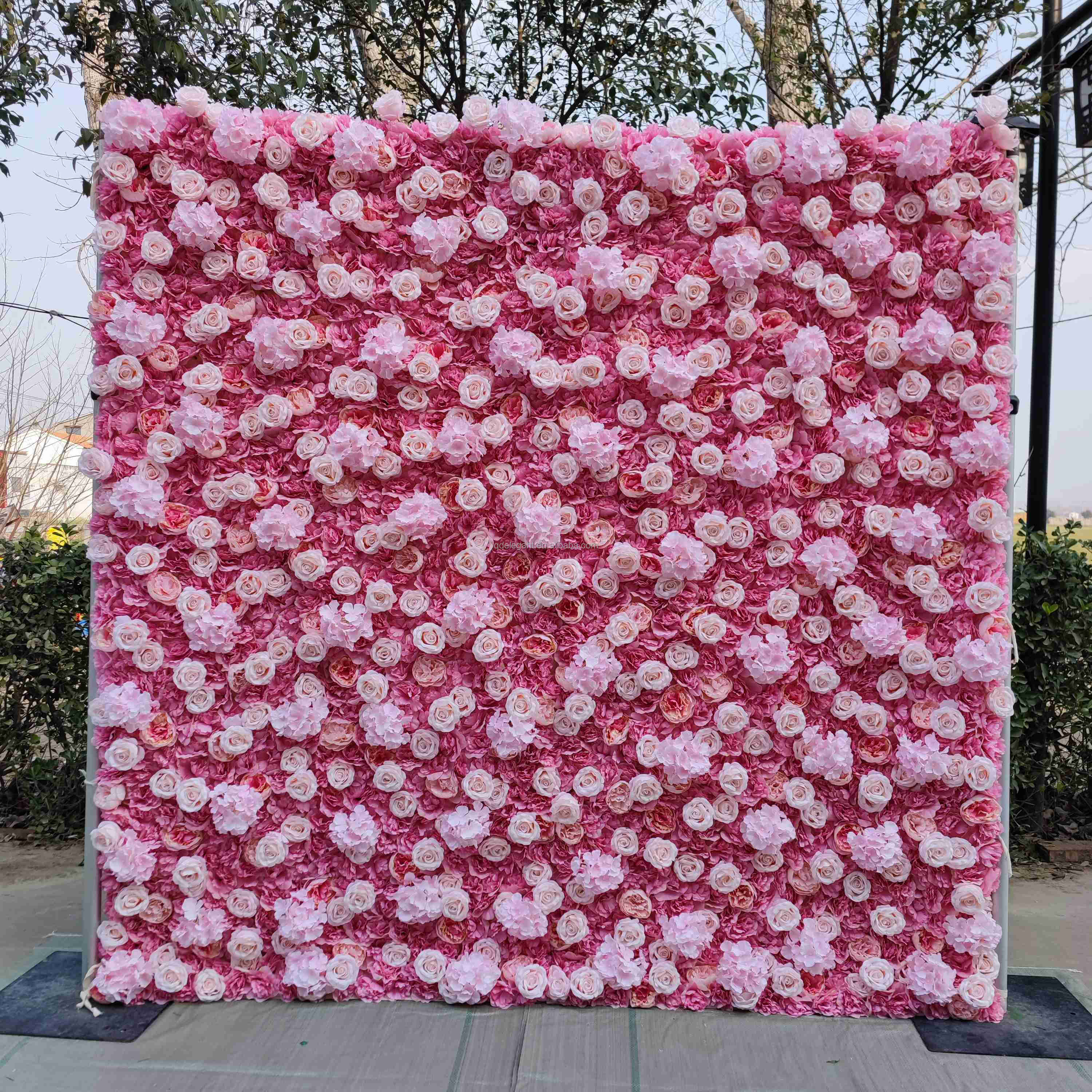 Rosa 01