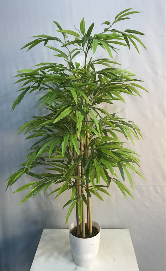 Bamboo tree