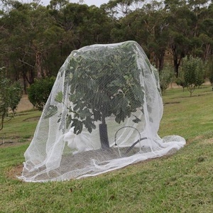 Aus gezeichnete Qualität Anti Bird Net Draht geflecht für Farm Anti Bird Netze Netz für den Garten