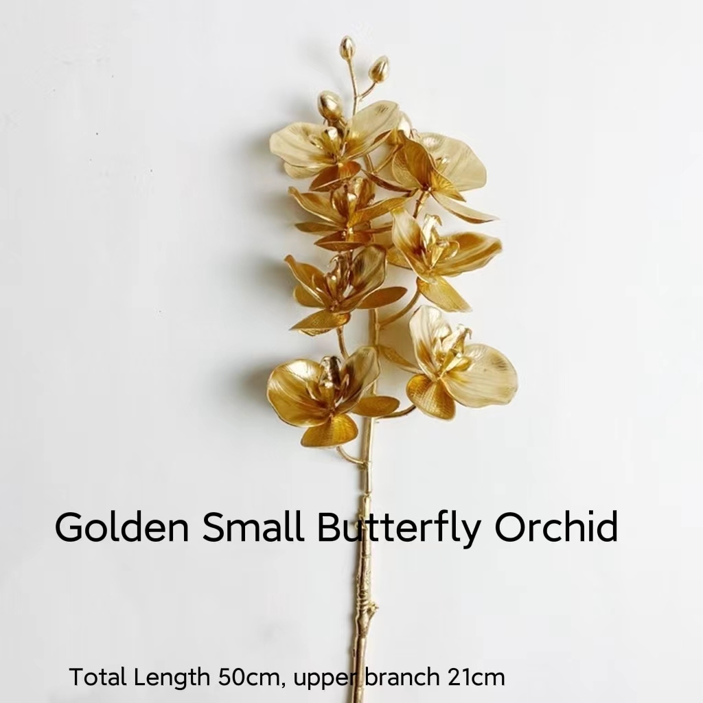 Petite orchidée papillon dorée