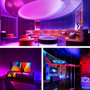 Smart WiFi LED Strip Light Controller 2 porte 144 watt per strisce luminose a LED RGB DC12V DC24V - Product Image 6