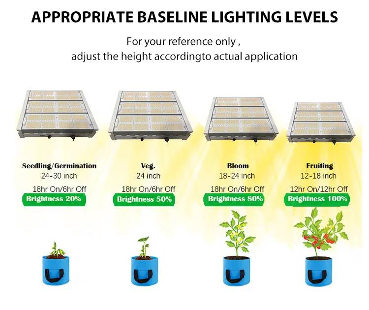 Etapa de flores Semillas Etapa Grow Light Led para plantas vegetales Espectro completo Led Grow Light 1000W