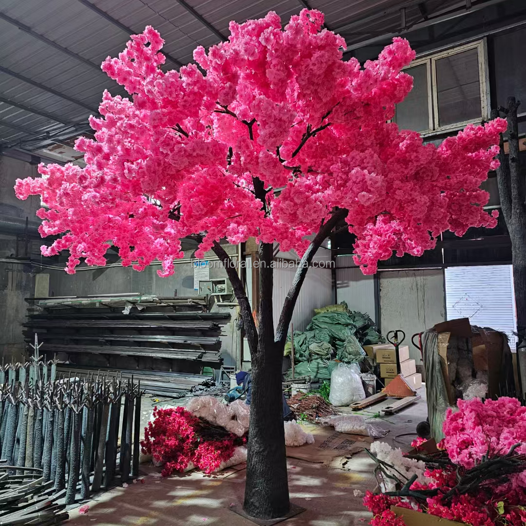 Rose fuchsia Blush Rose 01