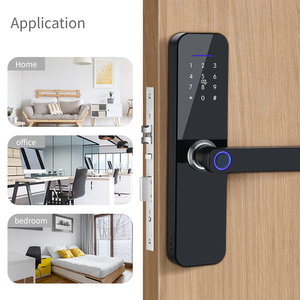 TTlock Wifi telecomando Smart Lock M1 controllo accessi per porte di sicurezza domestica serratura antifurto serratura biometrica per impronte digitali