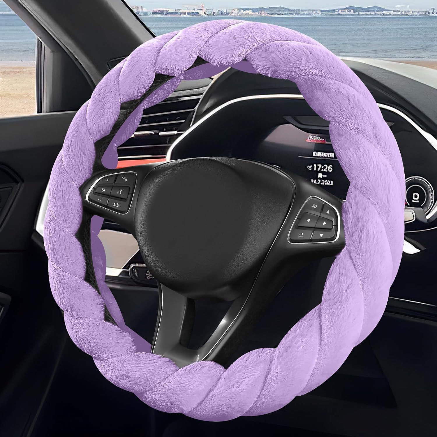 Viola