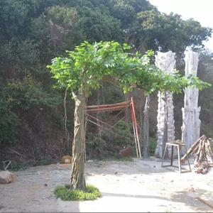 Wholesale Artificial Plants <strong>Trees</strong> Big Indoor Decoration False Banyan <strong>Tree</strong> Artificial <strong>Tree</strong> for Decoration - Product Image 5