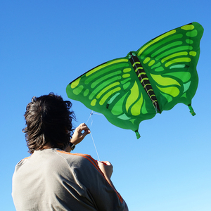 <strong>Chinese</strong> New Cheap butterfly Simulation <strong>Kites</strong> Flying Large Plastic <strong>Kite</strong> Duotone Outdoor Sports Toys