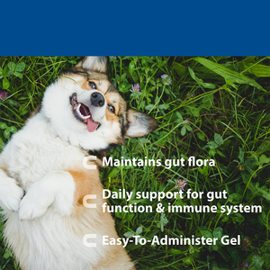 Sindirim bağışıklık desteği için kedi köpek probiyotik takviyesi 15g tüp Pet jel - Product Image 2