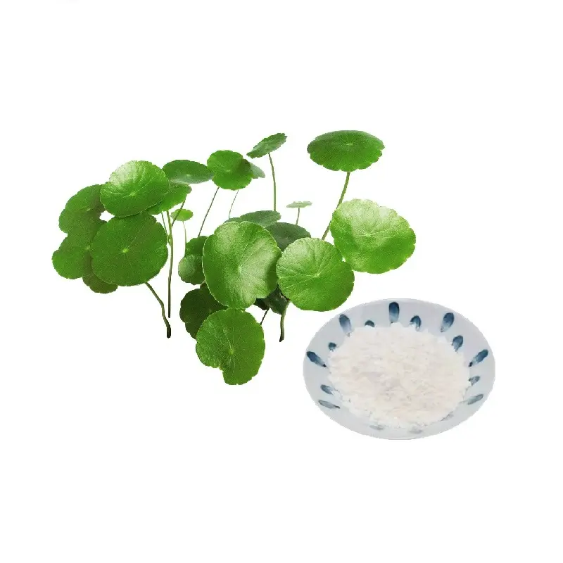 Centella Asiatica Extract Madecassoside 10%-90% Extract Poeder Gotu Kola Extract