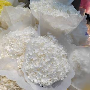 DIY Materials Factory Direct Sales Ins Style Real Touch Preserved Anna <strong>Hydrangea</strong> Flower Dried Preserved <strong>Hydrangea</strong> With Stem - Product Image 6