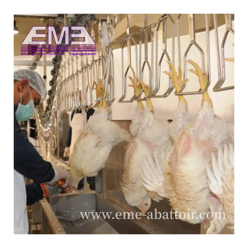 Buona transazione di pollame sanguinamento automatico trasporto ferroviario automatico di macellazione macchina per la lavorazione del macello di pollo