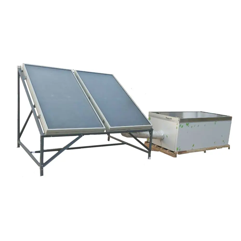 Multifunction Solar vegetable fish plant seed drying machine herbs and spices solar drier