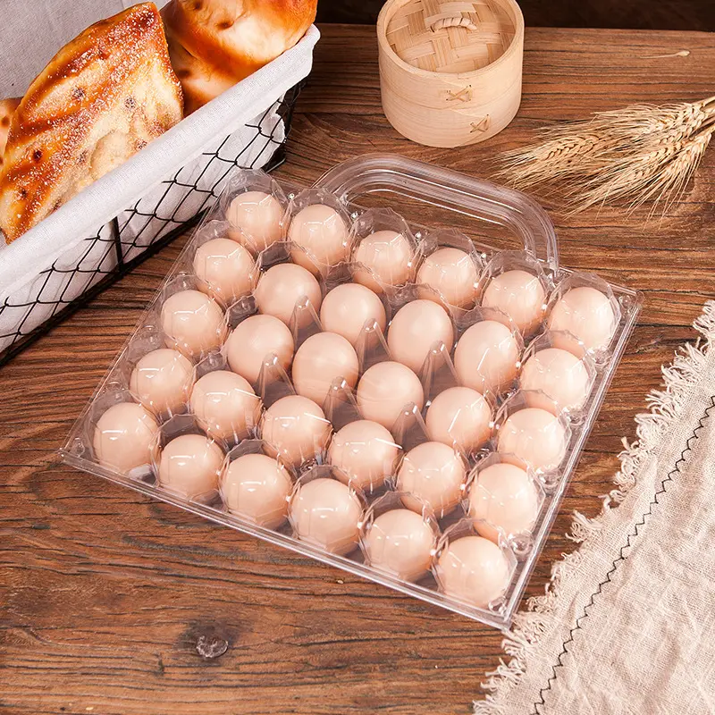 Boîte à œufs de poulet vide, emballage Blister Transparent, 30 boîtes à œufs de poulet à vendre