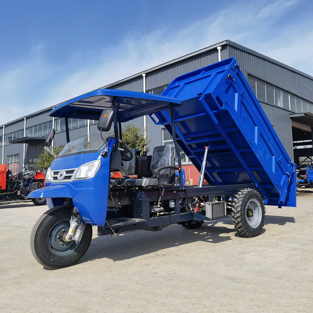 Cargo Diesel motorizzato tre ruote Dump triciclo prezzo di vendita caldo