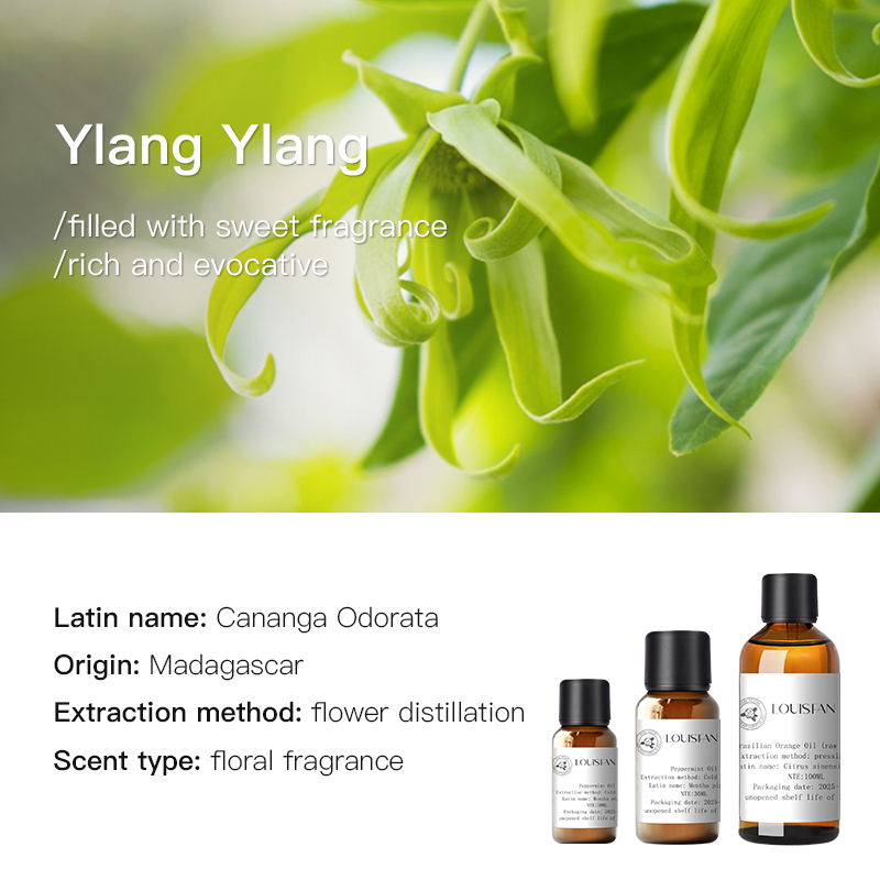 Ylang Ylang (Madagascar) 10 ml
