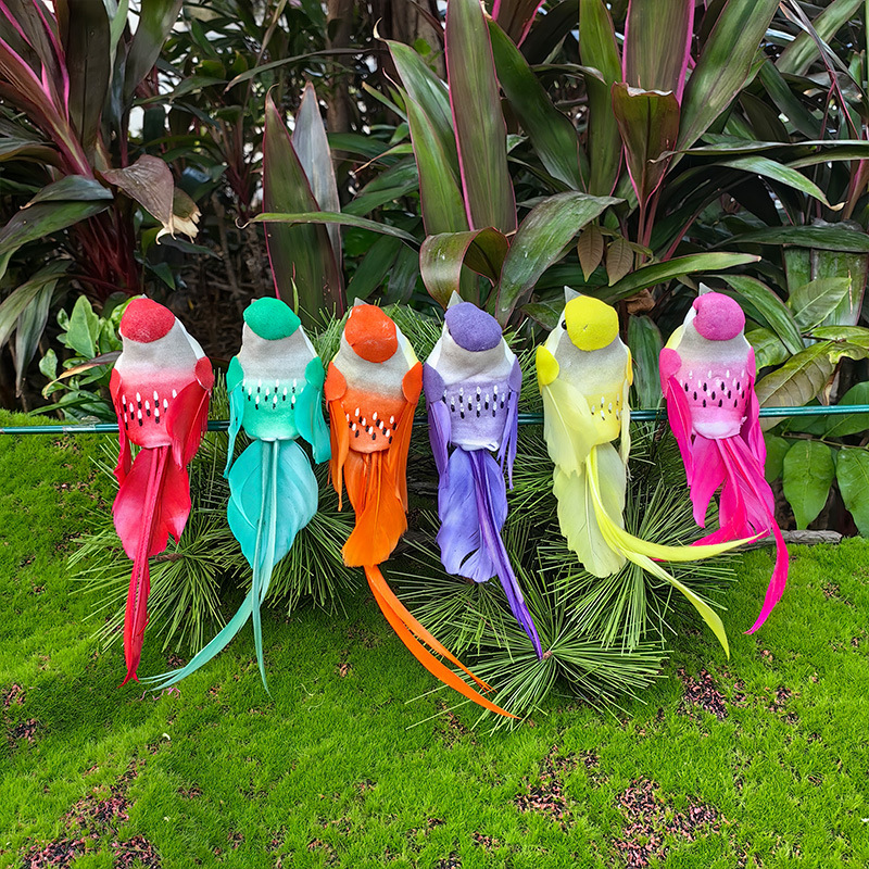 Oiseaux colorés à longue queue-1 paquet/12 pièces