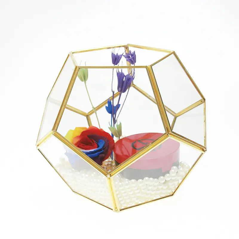 Micro paisaje de musgo creativo, decoración geométrica de plantas de vidrio, terrario, adornos de exhibición para habitación