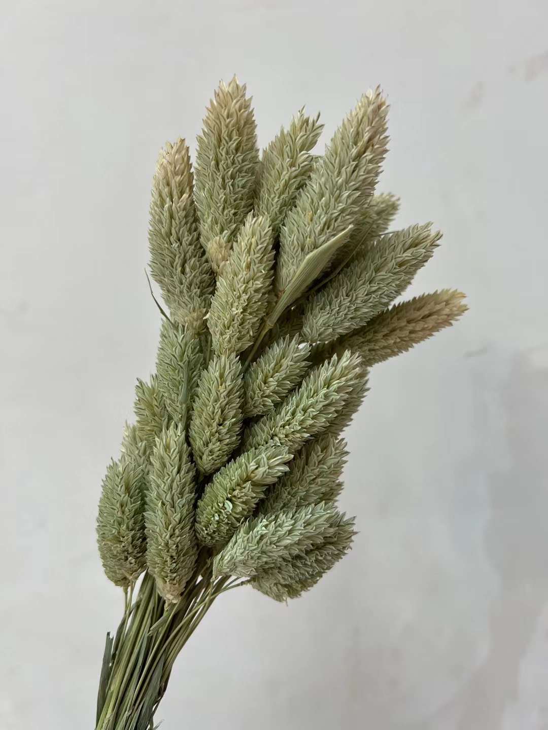 natural green