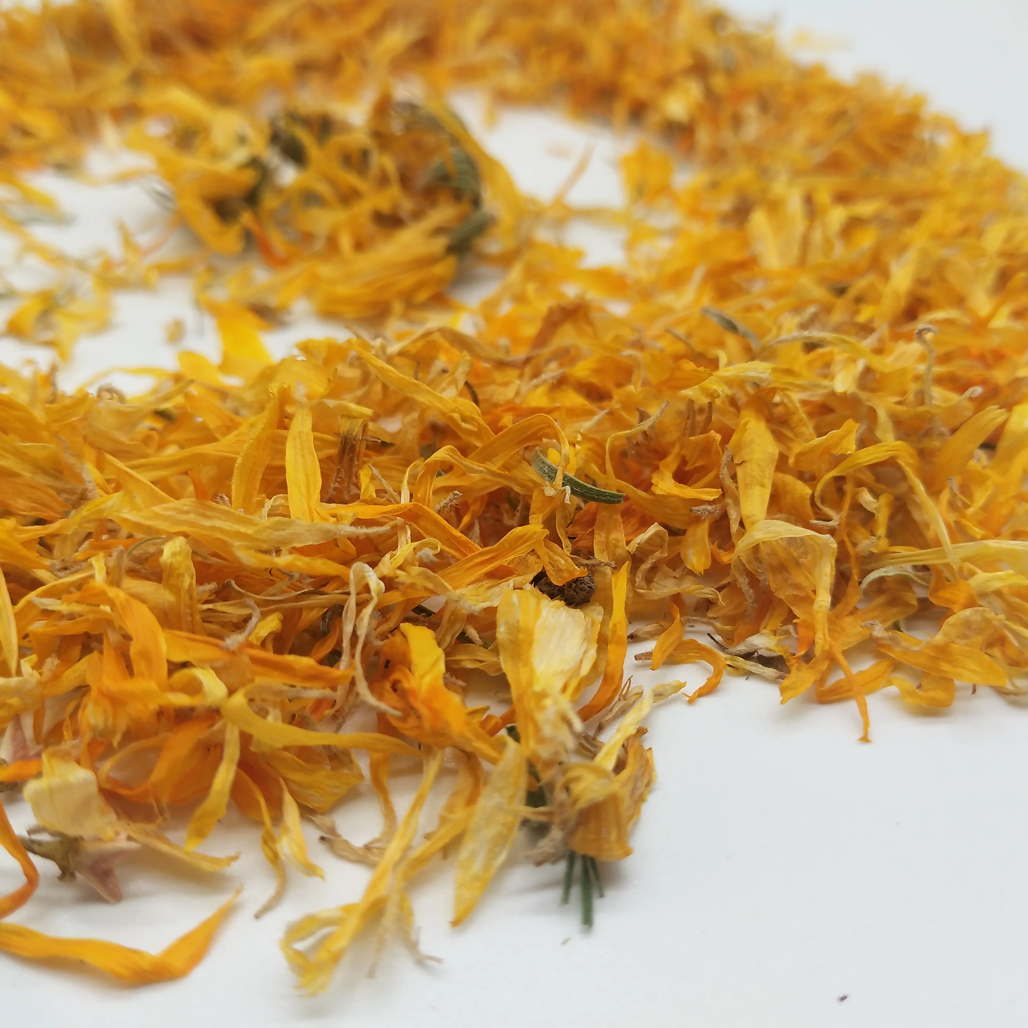 4028 Jin zhan ju di prezzi di Fabbrica del commercio all'ingrosso Sapore del tè secco petali di Calendula