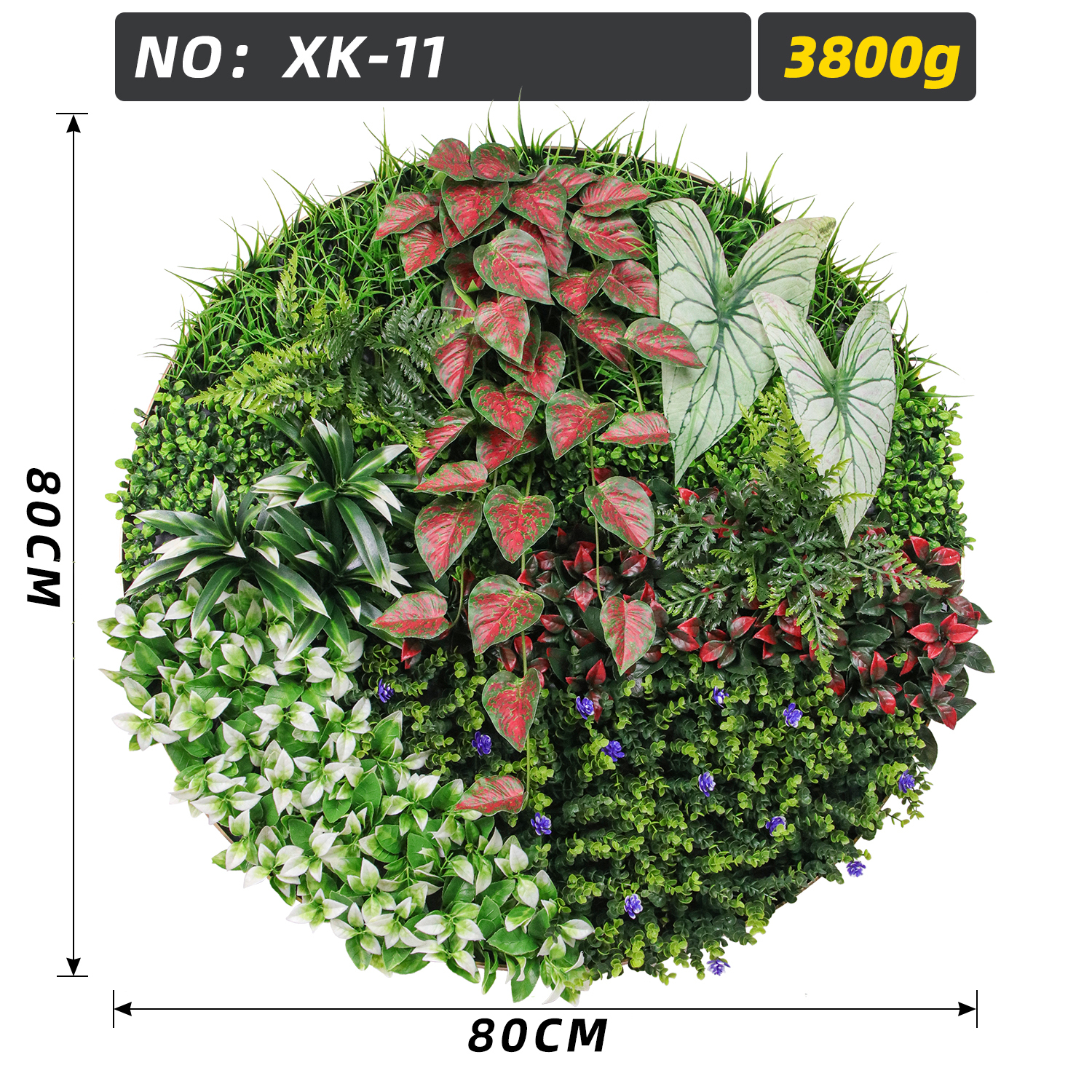 Round Red Caladium Variegated Leaf Green Wall Plate