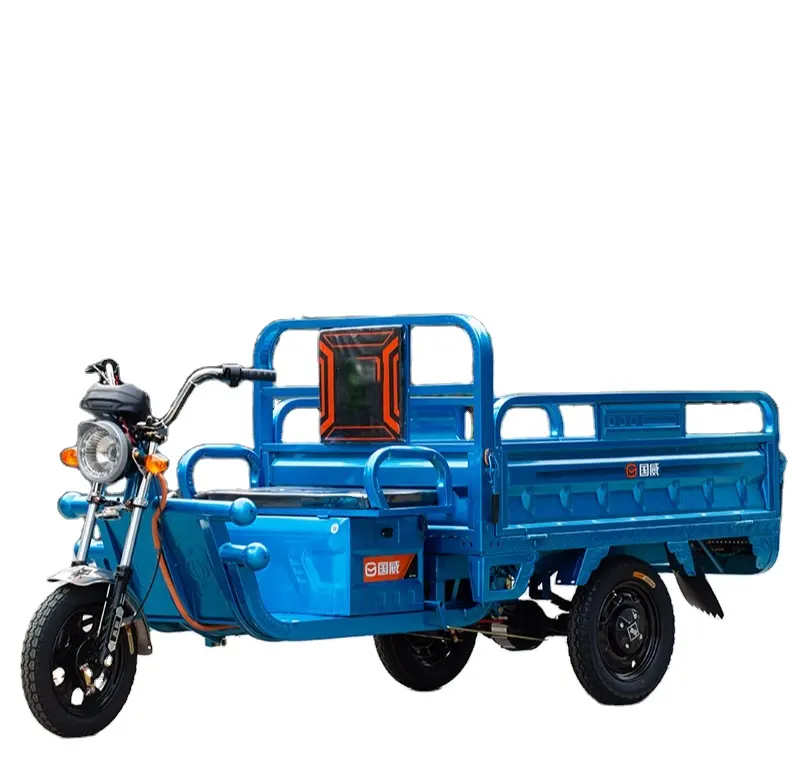 JM 800W Power Electric Cargo Tricycle Bike with Aluminum Cabin 60V EEC Open 606 Passenger Seat Rickshaw Driving Type Made China