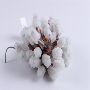 Hot Sale <strong>Pixel</strong> <strong>LED</strong> <strong>String</strong> <strong>Lights</strong> 9mm DC12V <strong>LED</strong> <strong>Pixel</strong> <strong>Light</strong> IP67 0.2W White for Advertising Signs <strong>String</strong> - Product Image 4