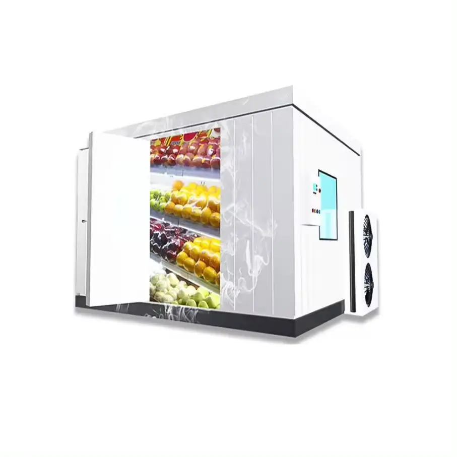 Equipo de cámara frigorífica Refrigeración Sala de almacenamiento en frío Precio Cámaras de congelación para alimentos Frutas y verduras