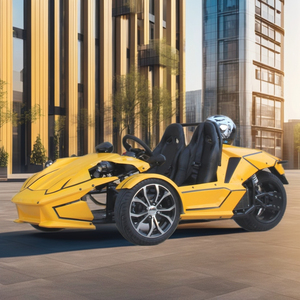 <strong>EEC</strong> DOT Certified High Power 10000W Electric ZTR <strong>ATV</strong> Open Body Adult Two-Seats 120km/h High Speed Electric Tricycles Cargo Use