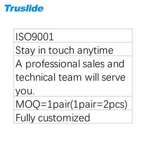 Truslide <strong>Linear</strong> Guide 30mm to 1500mm Guide <strong>Rail</strong> Miniature <strong>Linear</strong> Guide <strong>Rail</strong> - Product Image 5