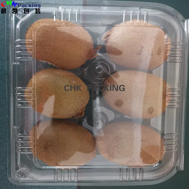 CHK embalaje desechable plástico biodegradable fruta lujo bandeja clamshell caja para tiendas