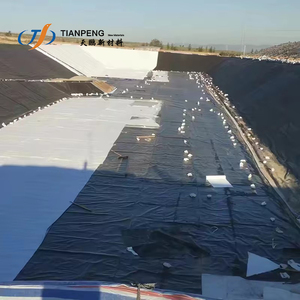 Reinforced Polypropylene Geomembrane <strong>Hdpe</strong> 1-6mm for Channel Lake Dam Civil Engineering Projects - Product Image 2
