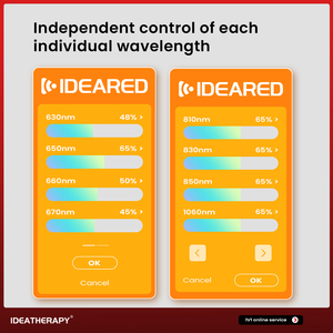 Ideatherapy RLPRO300MAX Ledライトセラピー300個LedチップLEDフェイスライトセラピージムスパLedライトセラピーマシン - Product Image 5