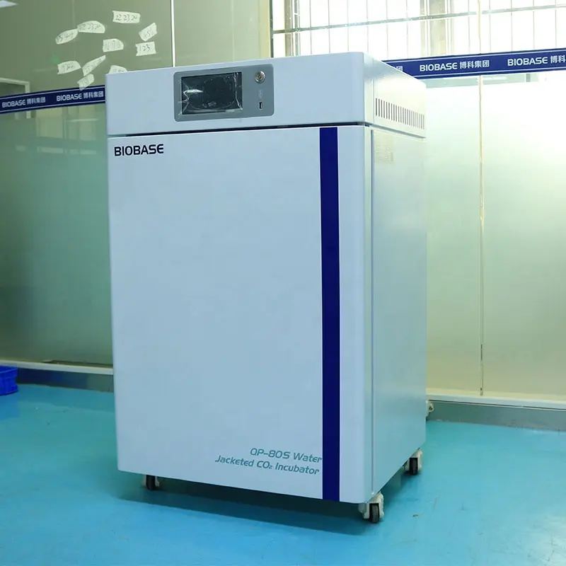 Biobase China air jacket/incubatore di microbiologia dell'incubatore di CO2 martellato d'acqua per laboratorio