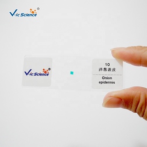 Microscopio biológico básico, juego de diapositivas preparadas, diapositivas de microscopio de enseñanza para la ciencia médica - Product Image 3