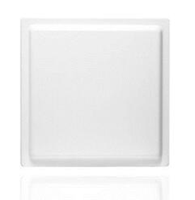 Industrielle 860 960MHz Ethernet IP IP65 Verkehr Langstrecken schreiber TCP IP passives Parken 8dbi mit SDK IP67 UHF RFID Reader fixiert - Product Image 2