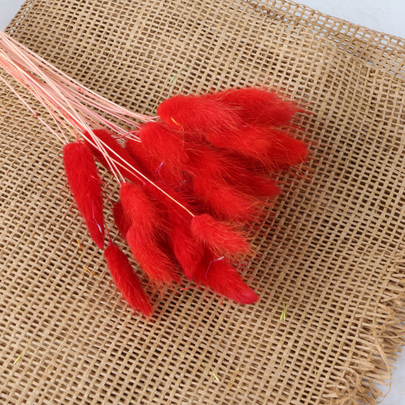 Rouge (env.30 pièces)
