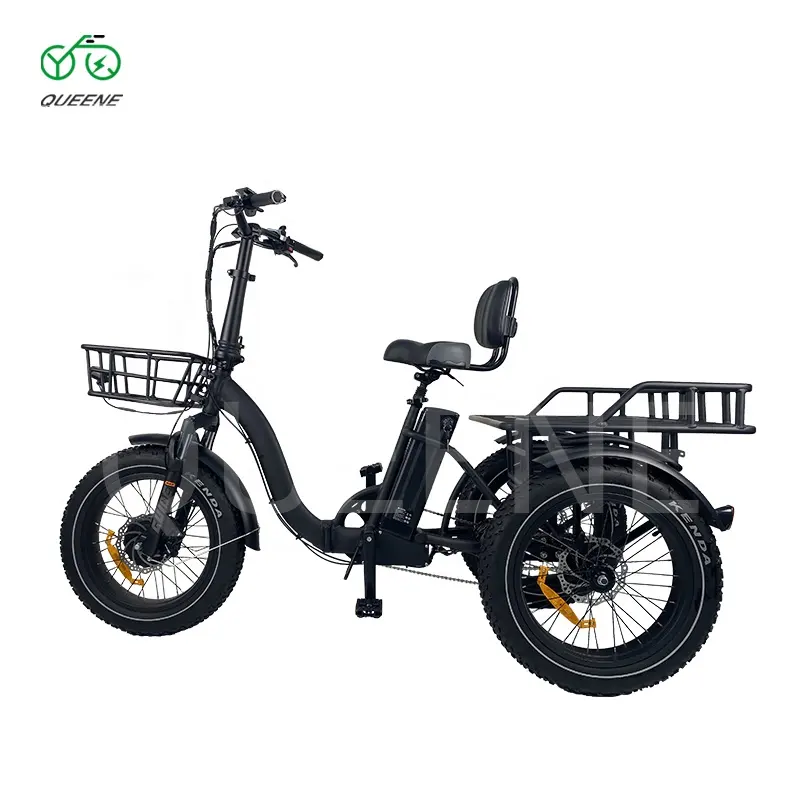 Puissant 750W 130KGS charge gros pneu ferme Cargo e-tricycle E Trike 3 roues adultes électrique pour le transport