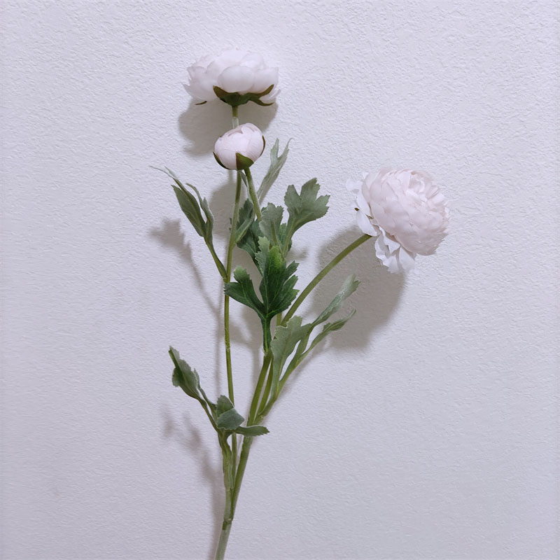 Violet 3