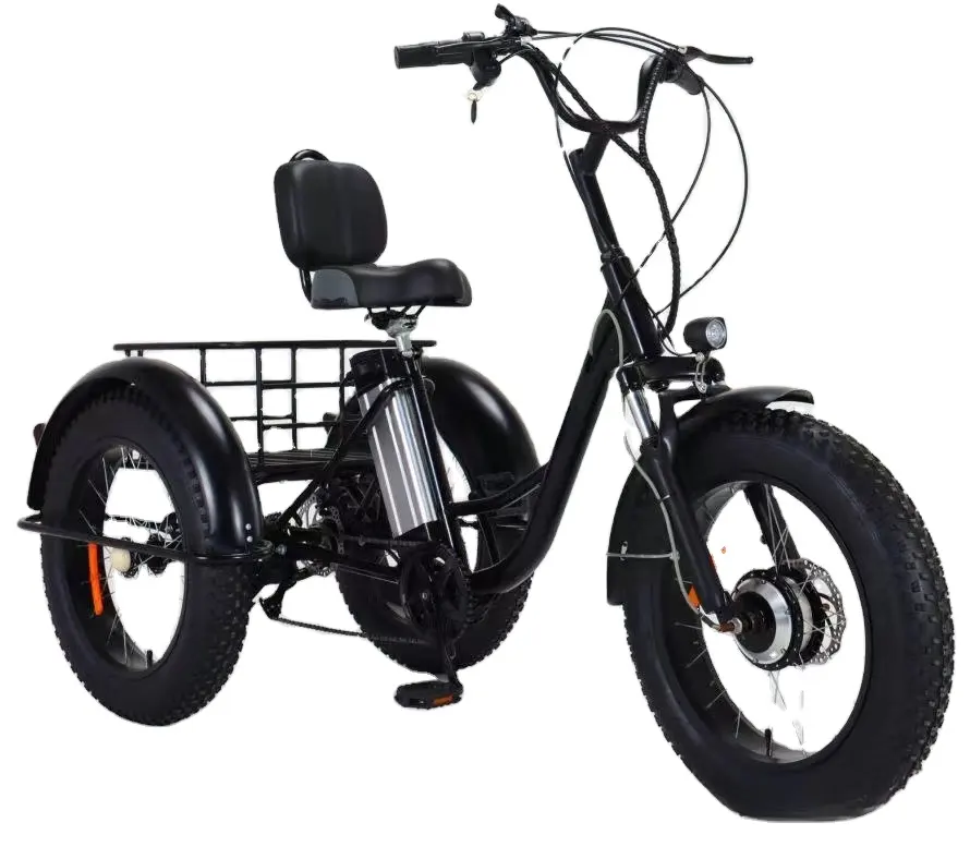 20 Inch Elektrische Trike Volwassenen 750W Motor Dikke Band 3 Wiel Driewieler Fiets Electro Drie Wielen Volwassen Lading Elektrische Fiets