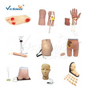 Simulador avanzado de resucitación cardiopulmonar y traumatismos por ordenador (función dos en uno controlada por ordenador)